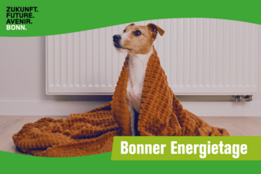 ONLINE-VORTRAG: Der erste Bonner Wärmeplan – Heizen mit Wärmepumpe und über Wärmenetze
