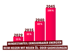 Bild1