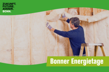 VORTRAG: Häuser energetisch modernisieren – darauf kommt es an